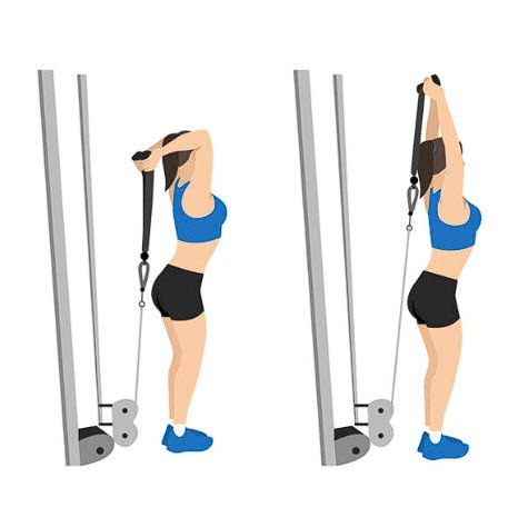 tricep pushdown alternatives, triceps pushdown alternatives