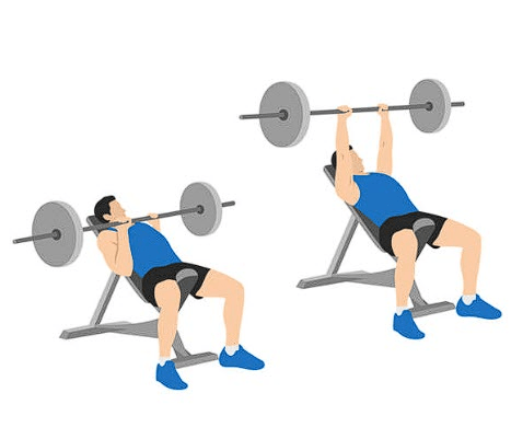 lying triceps extension, superior triceps builder