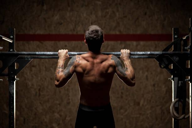 t bar row alternatives